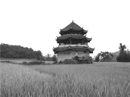 1404603_chenchao_1589370553192.jpg