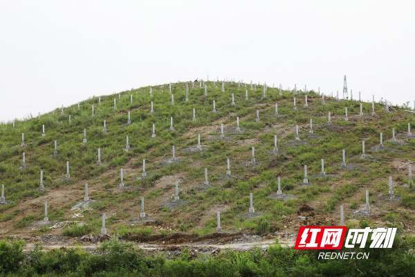 c401e3d10ac146559e1464e3aff59e26_副本.jpg c401e3d10ac146559e1464e3aff59e26_副本.jpg