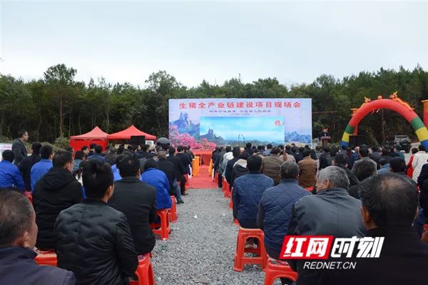 11月26日上午,永州市生猪全产业链建设项目现场会在宁远召开。.jpg 11月26日上午,永州市生猪全产业链建设项目现场会在宁远召开。.jpg
