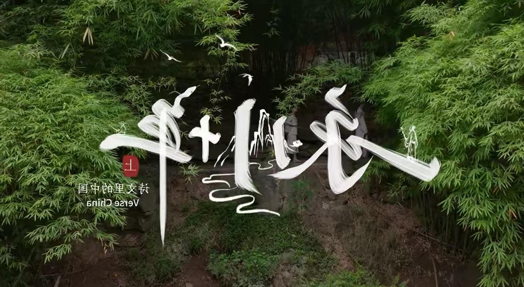 多宝体育