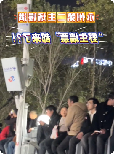 多宝体育