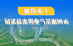 多宝体育